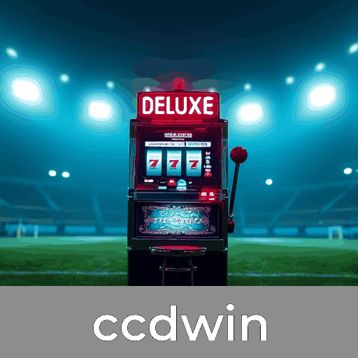 Promoções Valiosas no ccdwin: Bônus Atraentes e Regras Claras